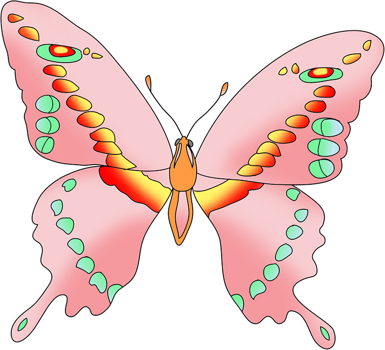 Beautiful butterfly image 