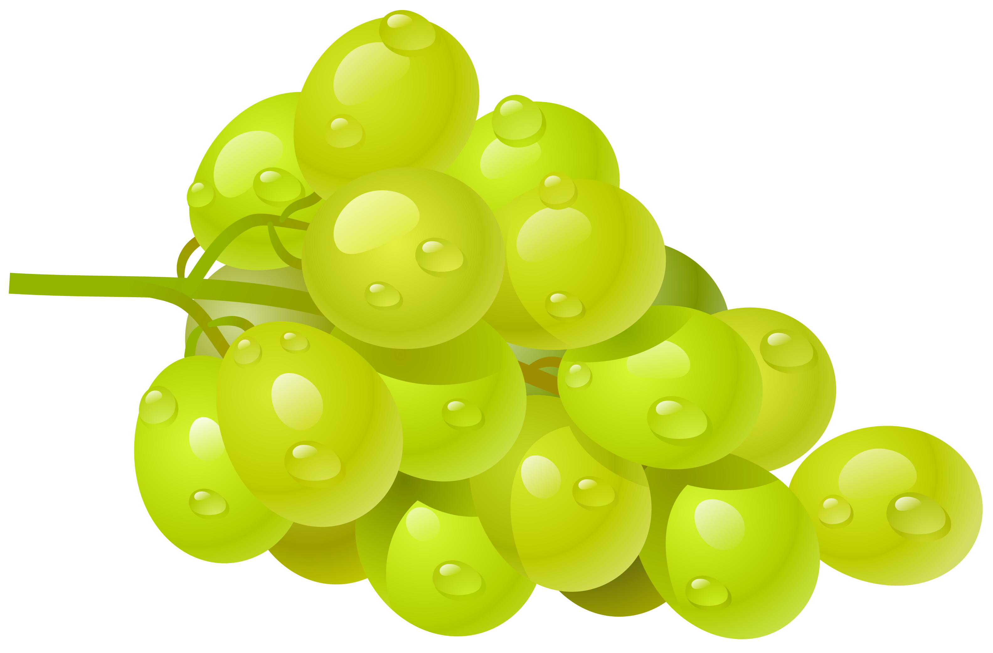 Clip art grapes 