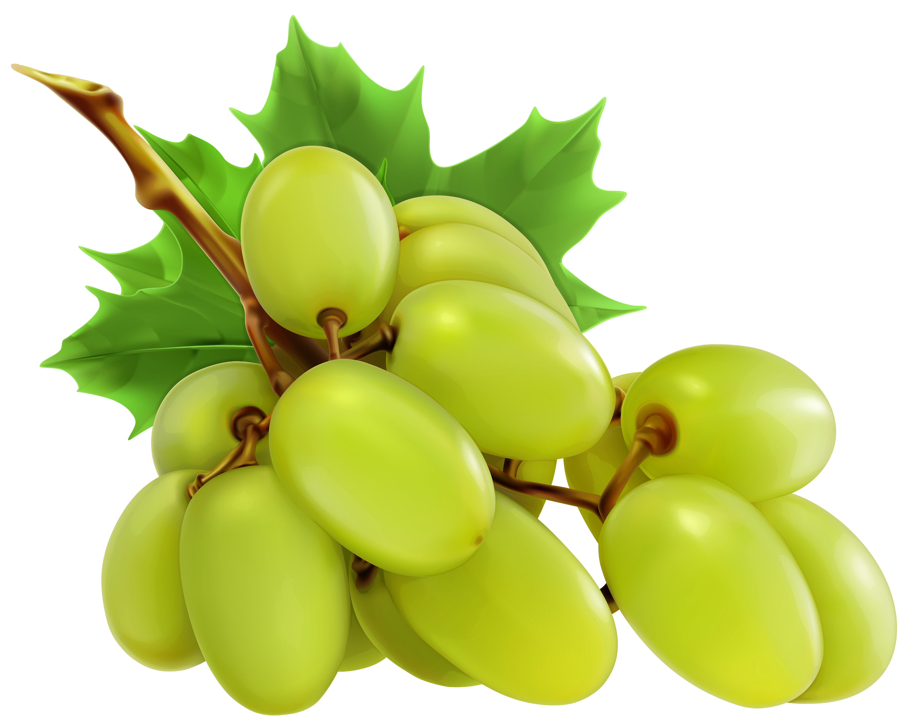 White grapes clipart 