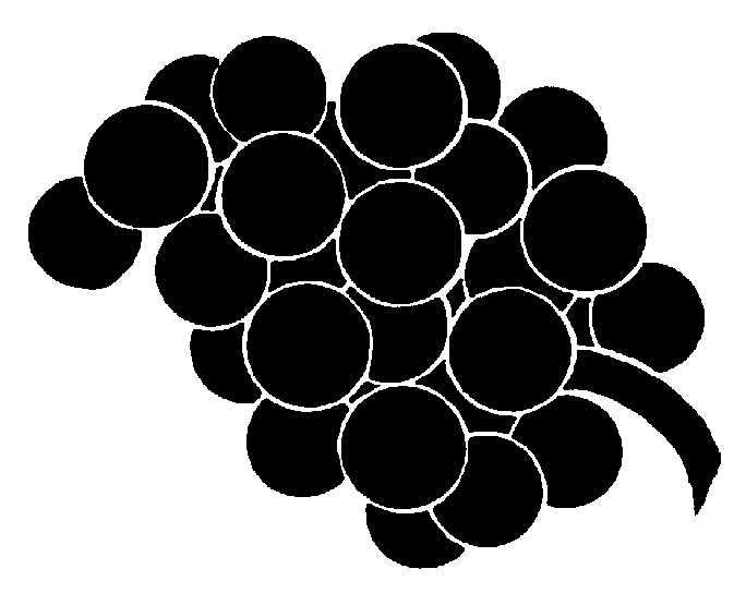 Grapes Black And White Clipart 