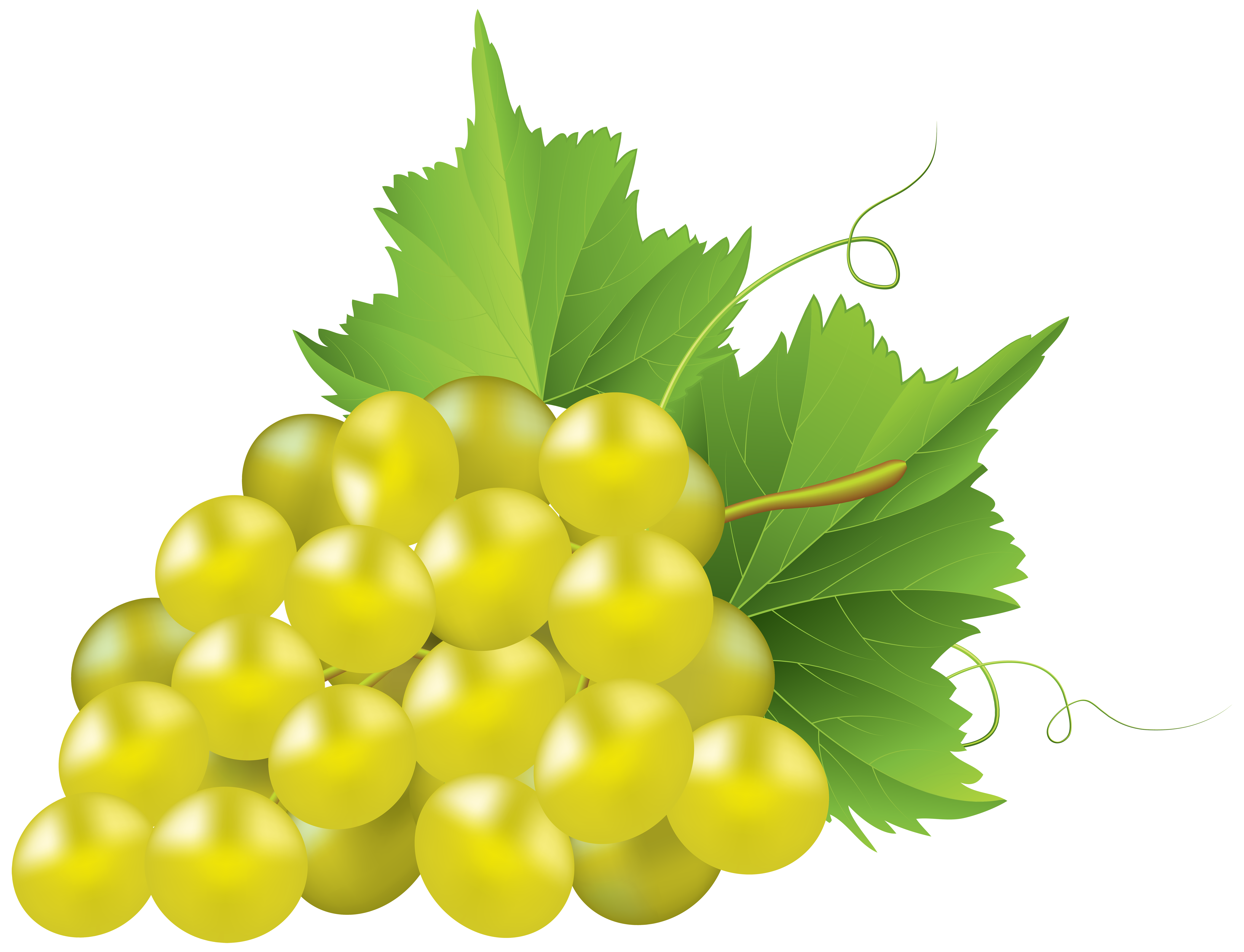 White Grape Transparent PNG Clip Art Image 
