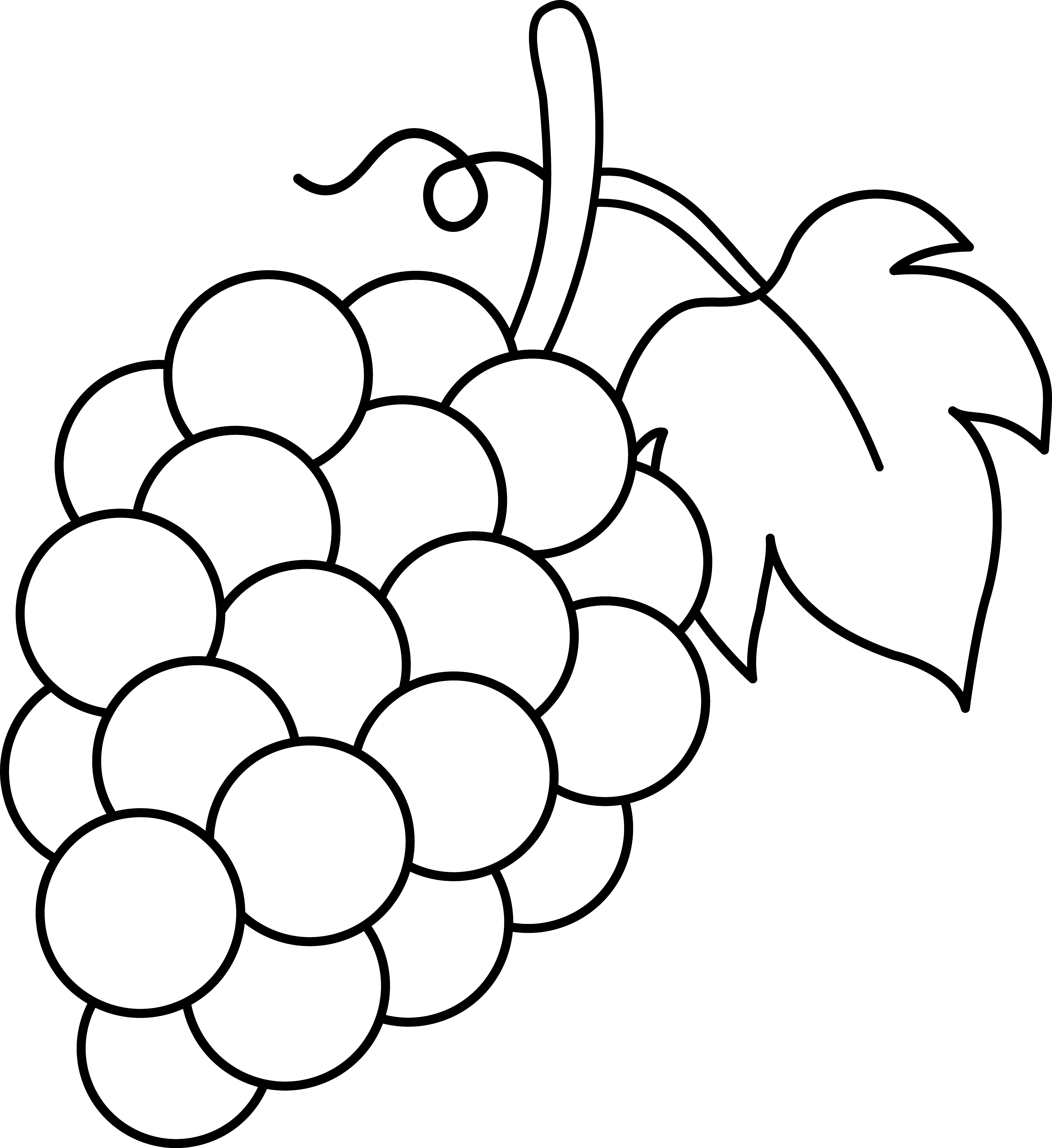 Clipart grapes black and white 
