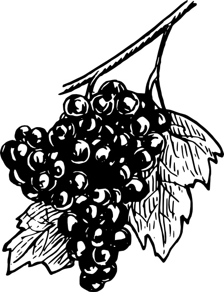 Grapes clip art Free vector in Open office drawing svg 