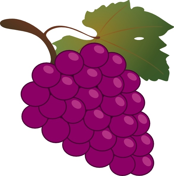 Grapes clipart image 