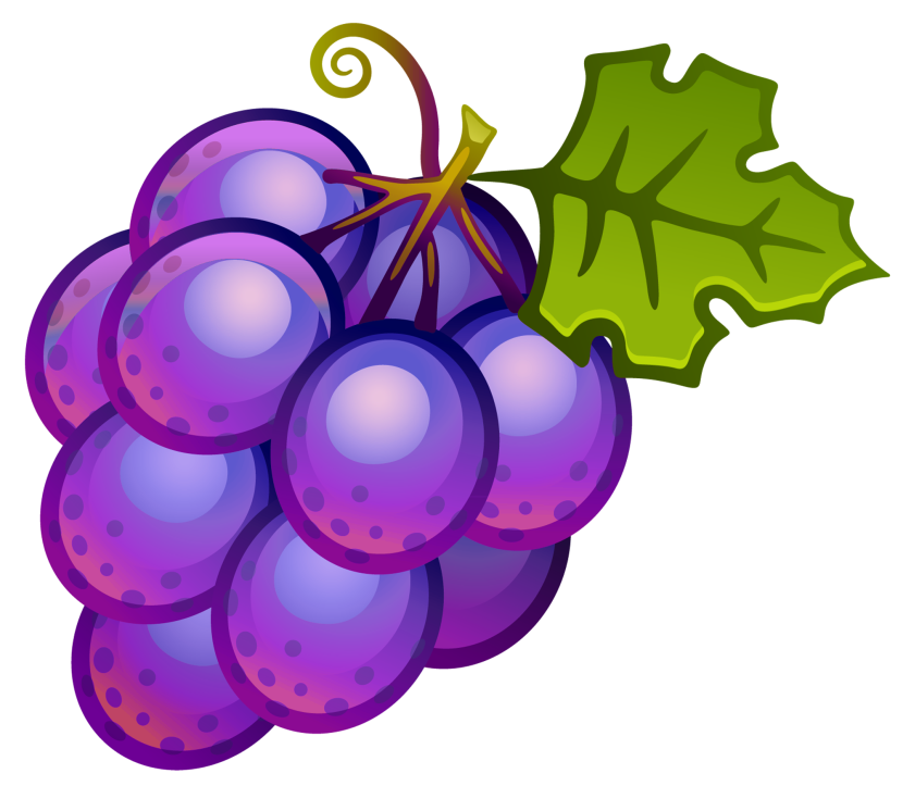 Grapes clipart image 