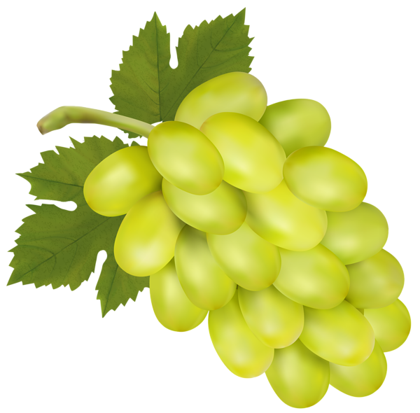 White Grape PNG Clip Art Image 