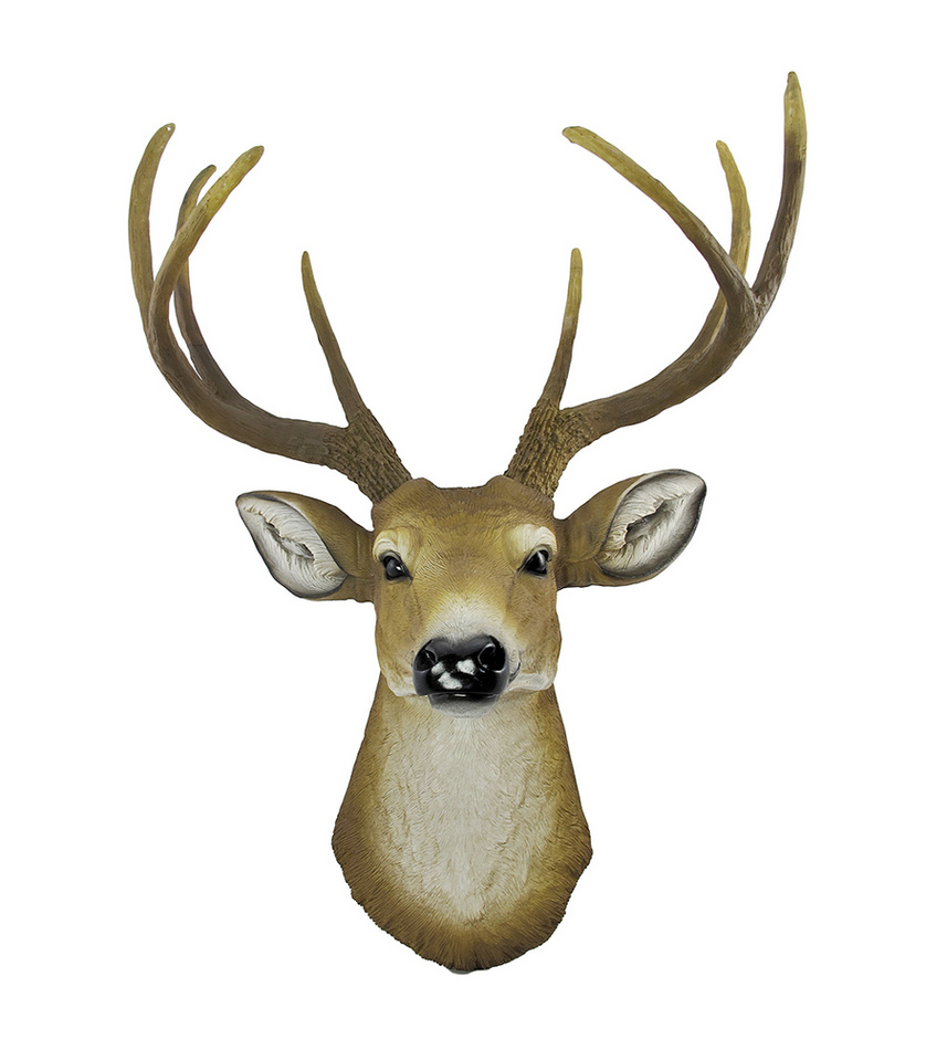 8 Point Buck Deer Head Bust Wall Hanging Clipart 