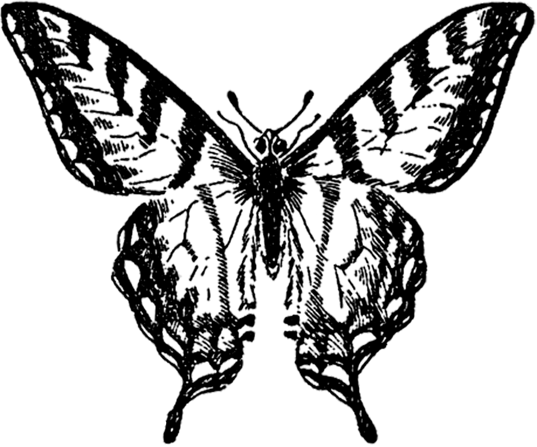 Free Victorian Butterfly Cliparts, Download Free Victorian Butterfly