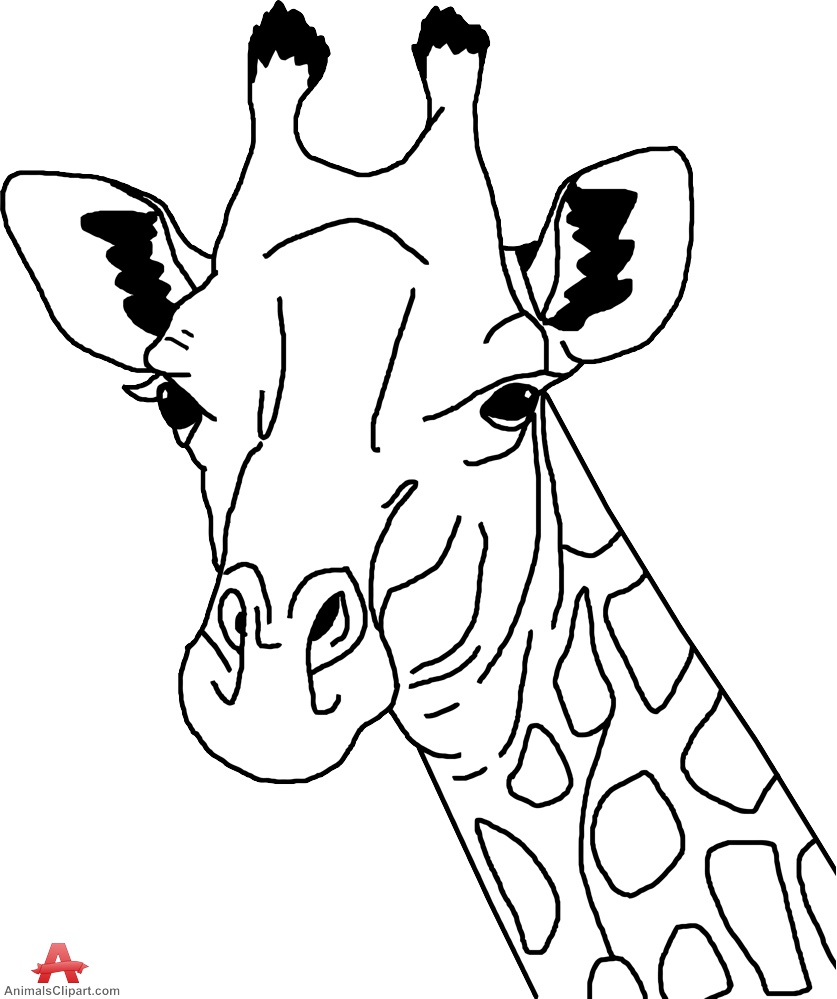 Giraffe Head Outline Drawing in Black and White 