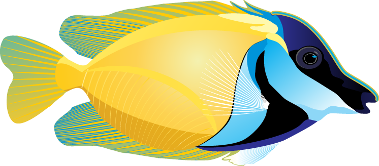 Tropical Fish Clipart 