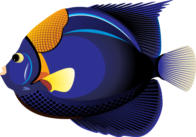 Free Tropical Fish Cliparts, Download Free Tropical Fish Cliparts png