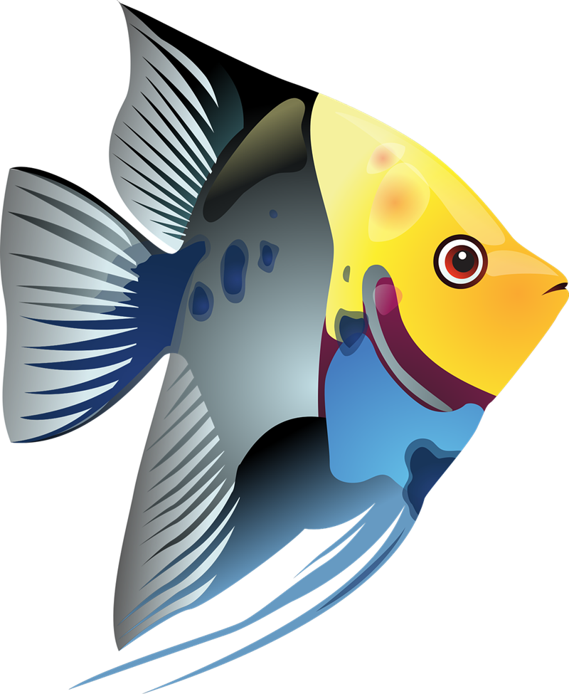 transparent background fish clipart - Clip Art Library