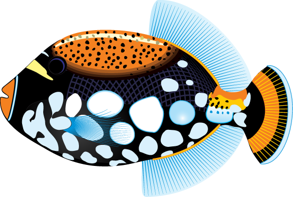 Tropical fish clipart free 