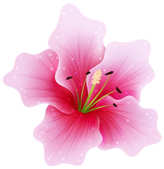 Pink Flower PNG by HanaBell1.deviantart on @deviantART 
