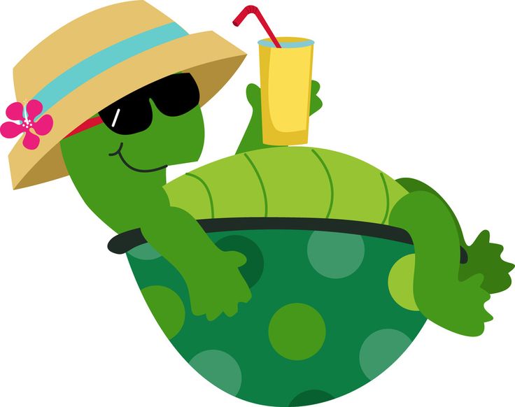 free-shy-turtle-cliparts-download-free-shy-turtle-cliparts-png-images