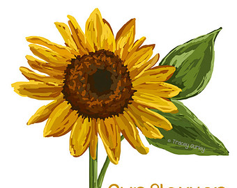 Sunflower clip art 