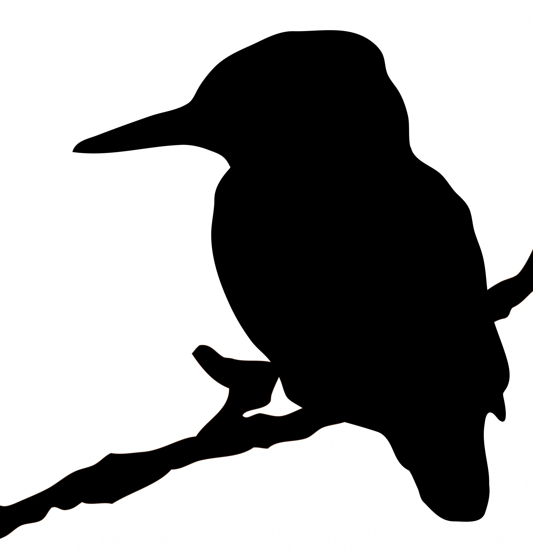Kingfisher Bird Silhouette Clipart Free Stock Photo 