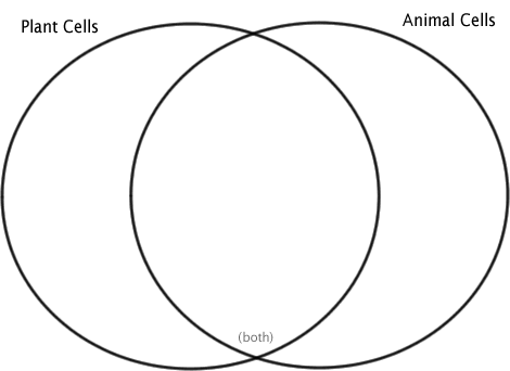 blank plant and animal cell venn diagram - Clip Art Library
