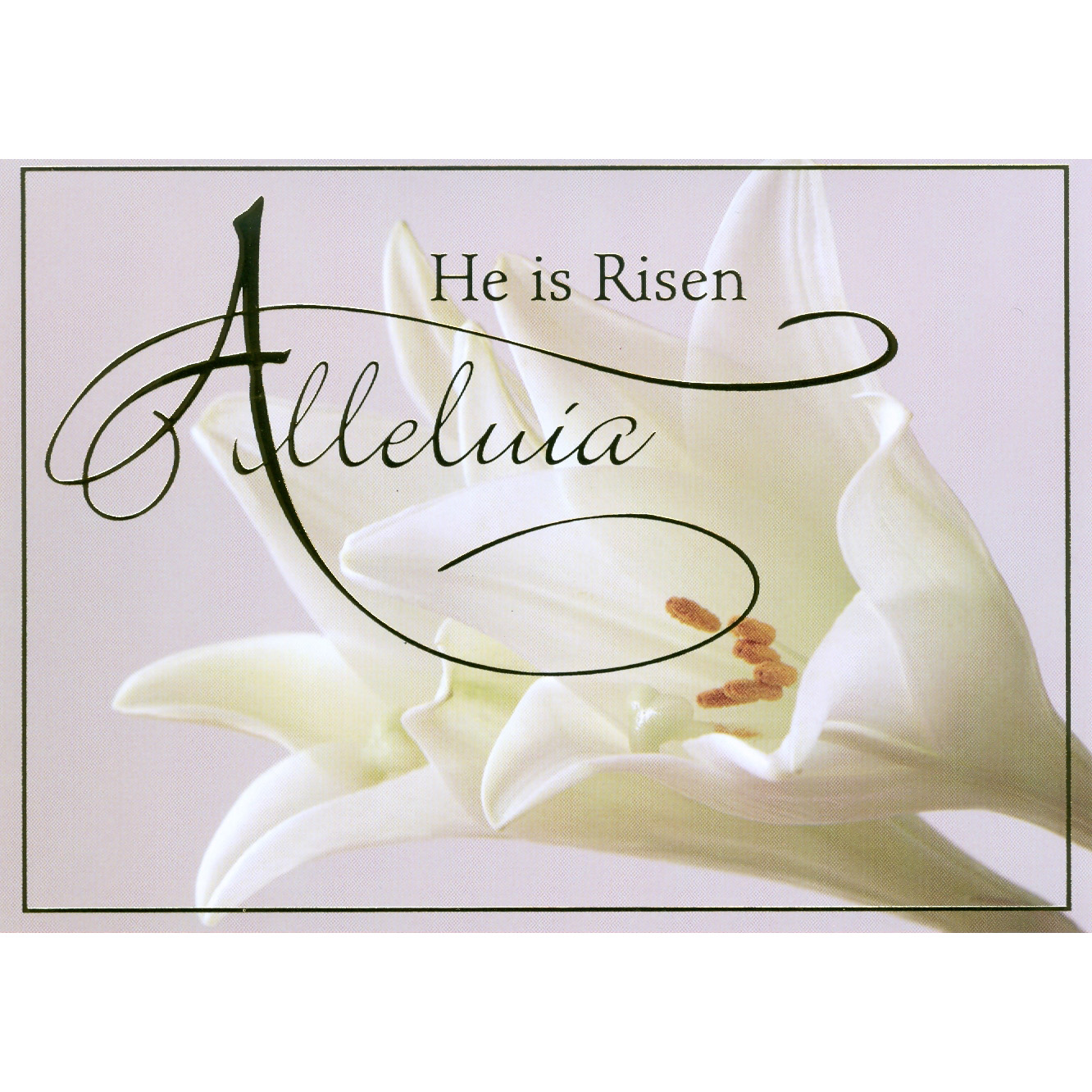 Alleluia Easter Boxed Cards 