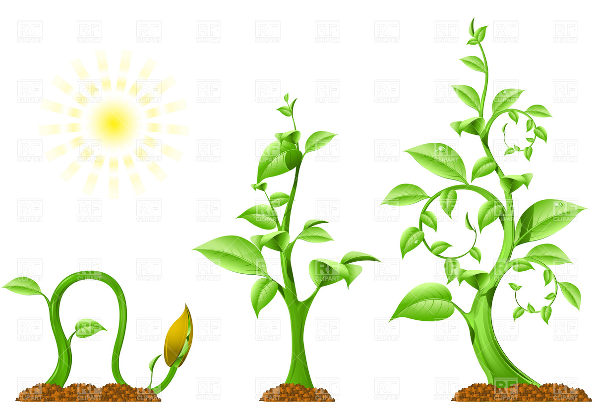 Plant growing clipart - Clip Art Library