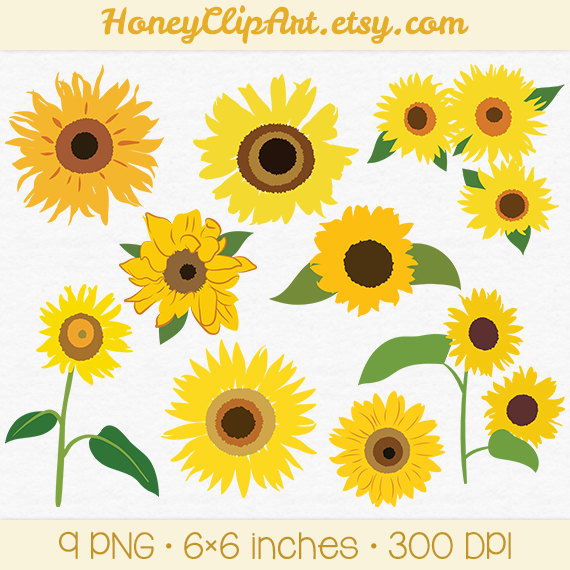 Sunflower clip art 