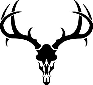 Whitetail deer antlers clipart 