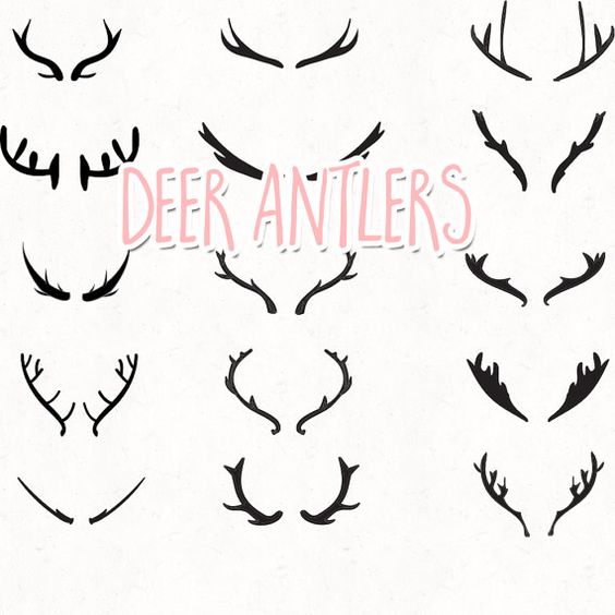 deer antlers clipart vector: deer clipart, antler clipart, antlers 