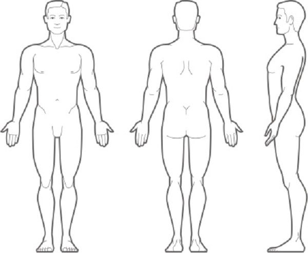 Medical Human Body Outline 