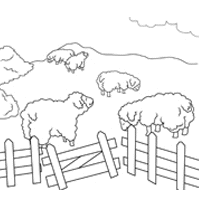 sheep pen coloring pages - Clip Art Library