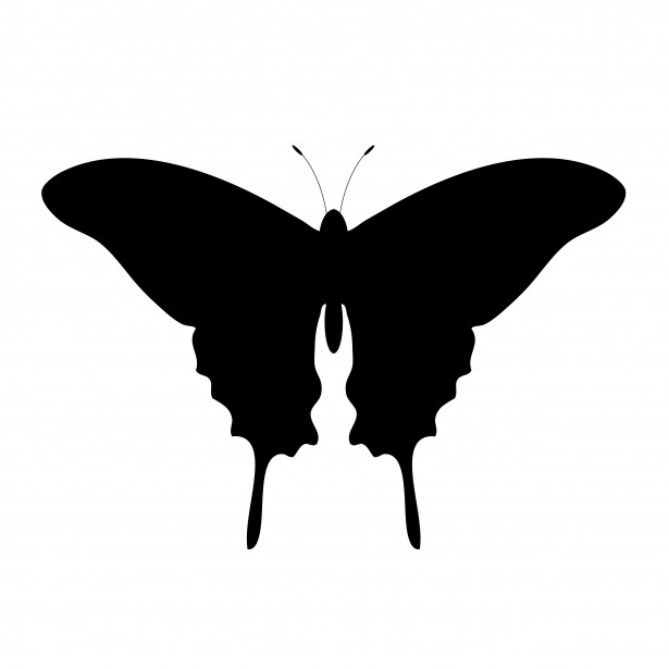 Butterfly Silhouette Clipart Free Stock Photo 