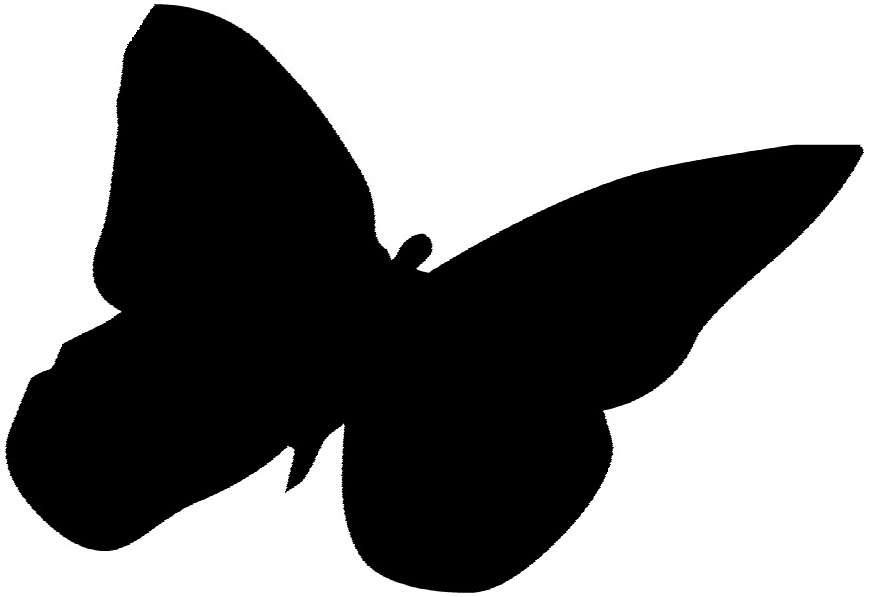 Butterfly Silhouette 