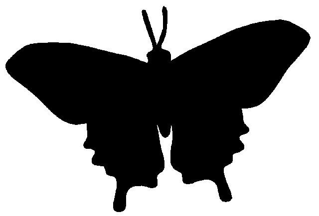 Butterflies Silhouette 