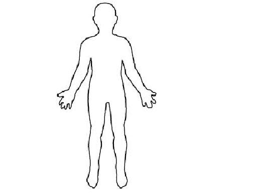 Human body outline clipart 