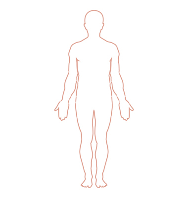 Free human body outline clipart 