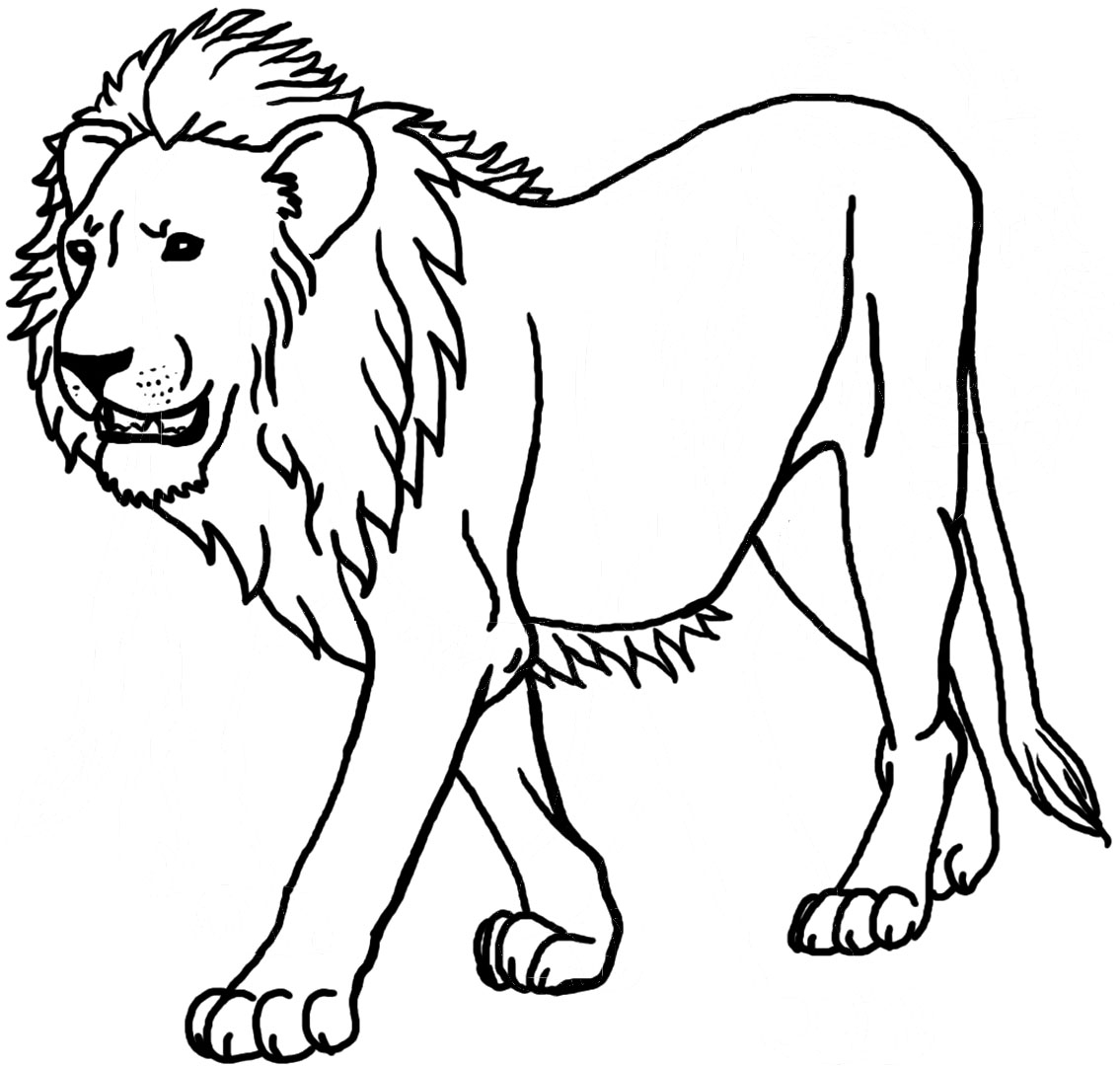 lion outline