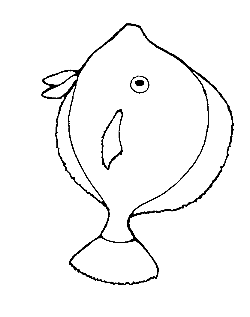 Black And White Fish Image 