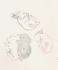 Free Sleepy Rabbit Cliparts Download Free Sleepy Rabbit Cliparts Png Images Free Cliparts On Clipart Library