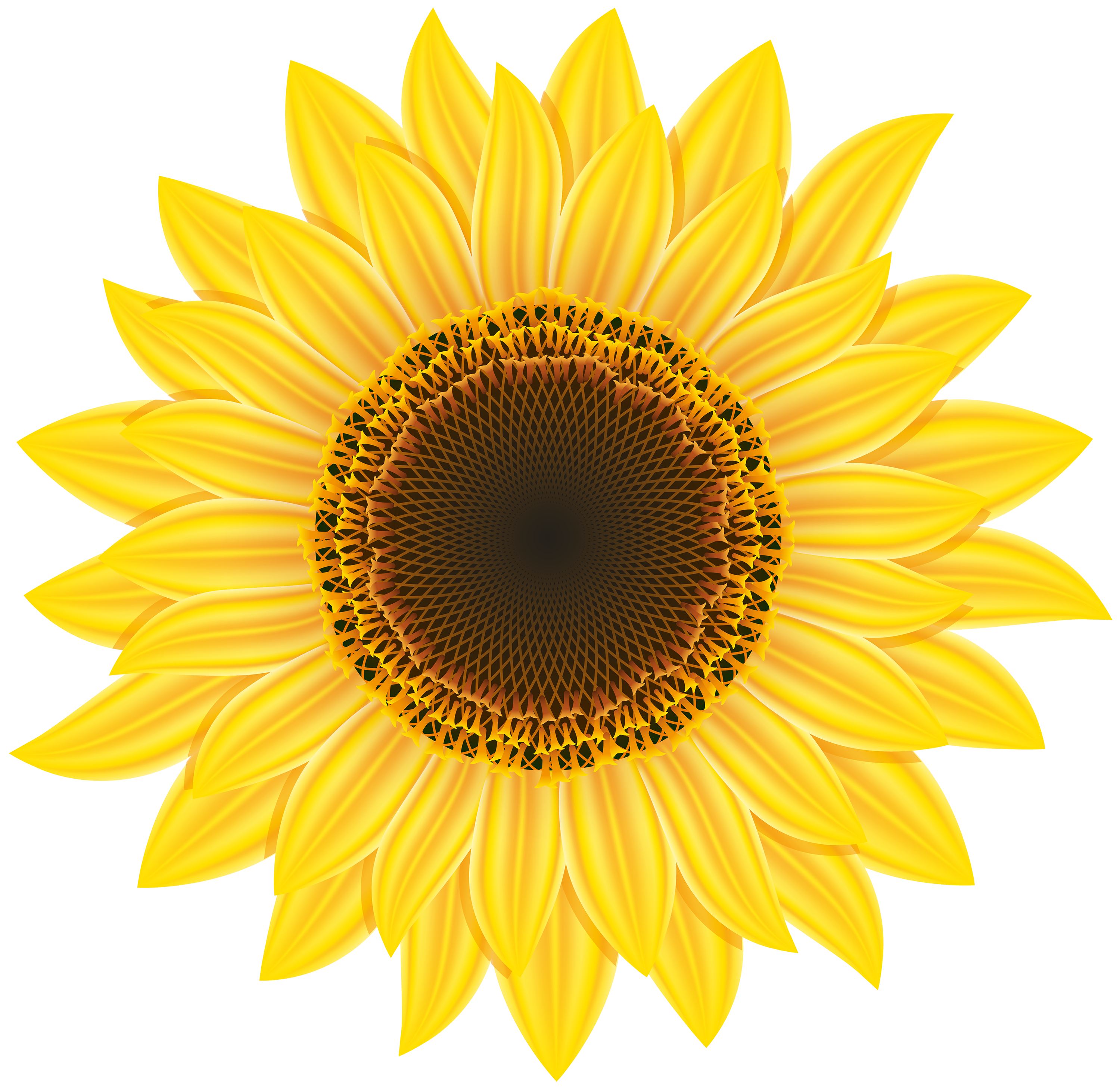 Free Sunflower Clipart Transparent Background, Download Free Sunflower