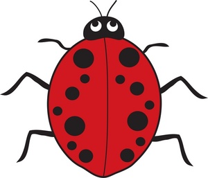 Cartoon ladybug clipart 