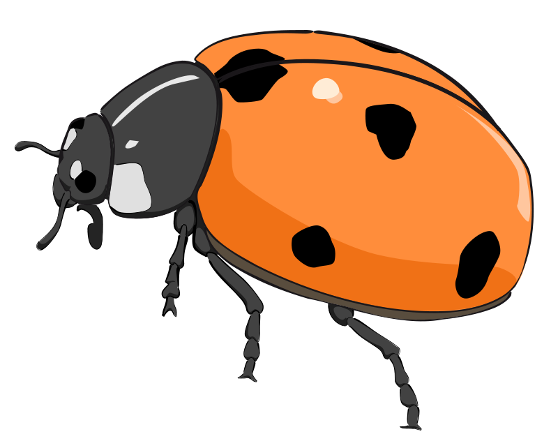 Cute Ladybug Clipart 