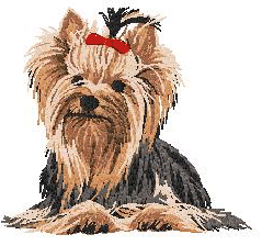 Yorkshire terrier Graphics and Animated Gifs 