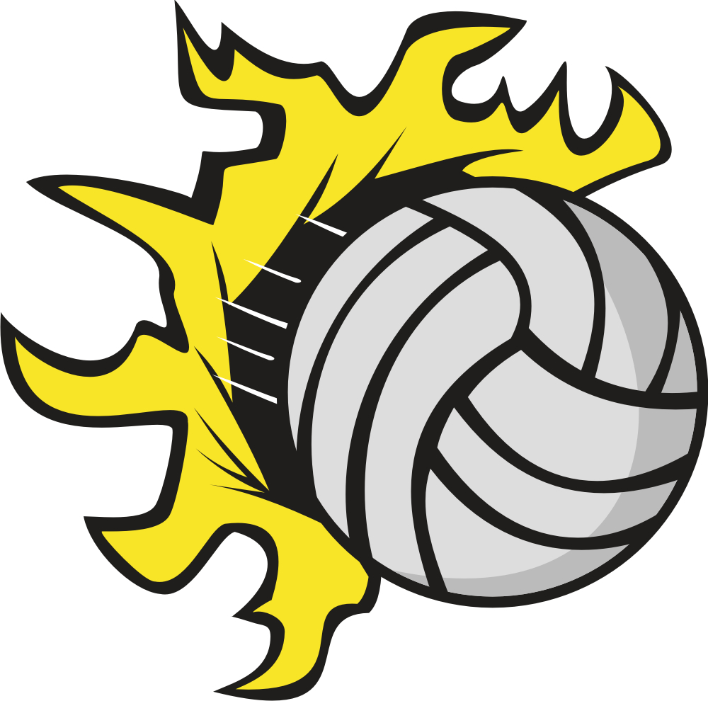 Pictures Of A Volleyball 
