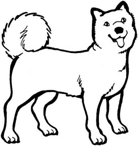 Black And White Dog Clipart 