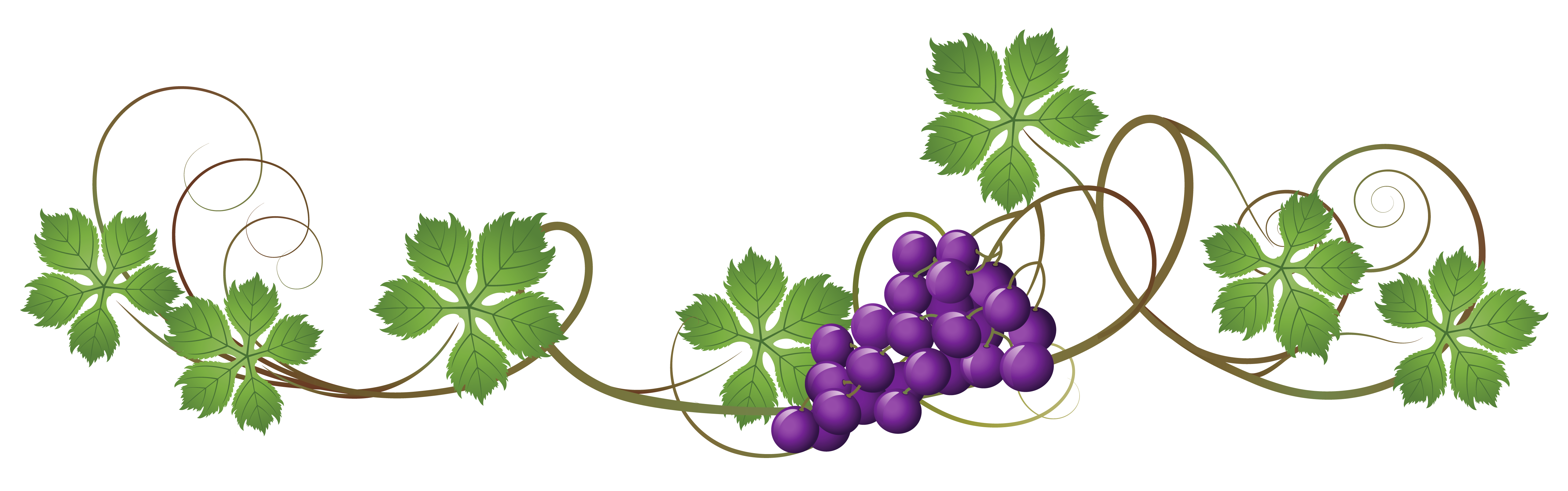 Vine Decoration PNG Clipart Picture 