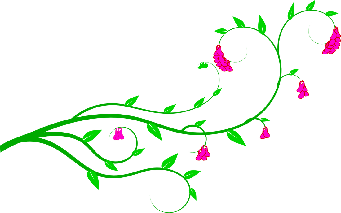 Vine clipart png 