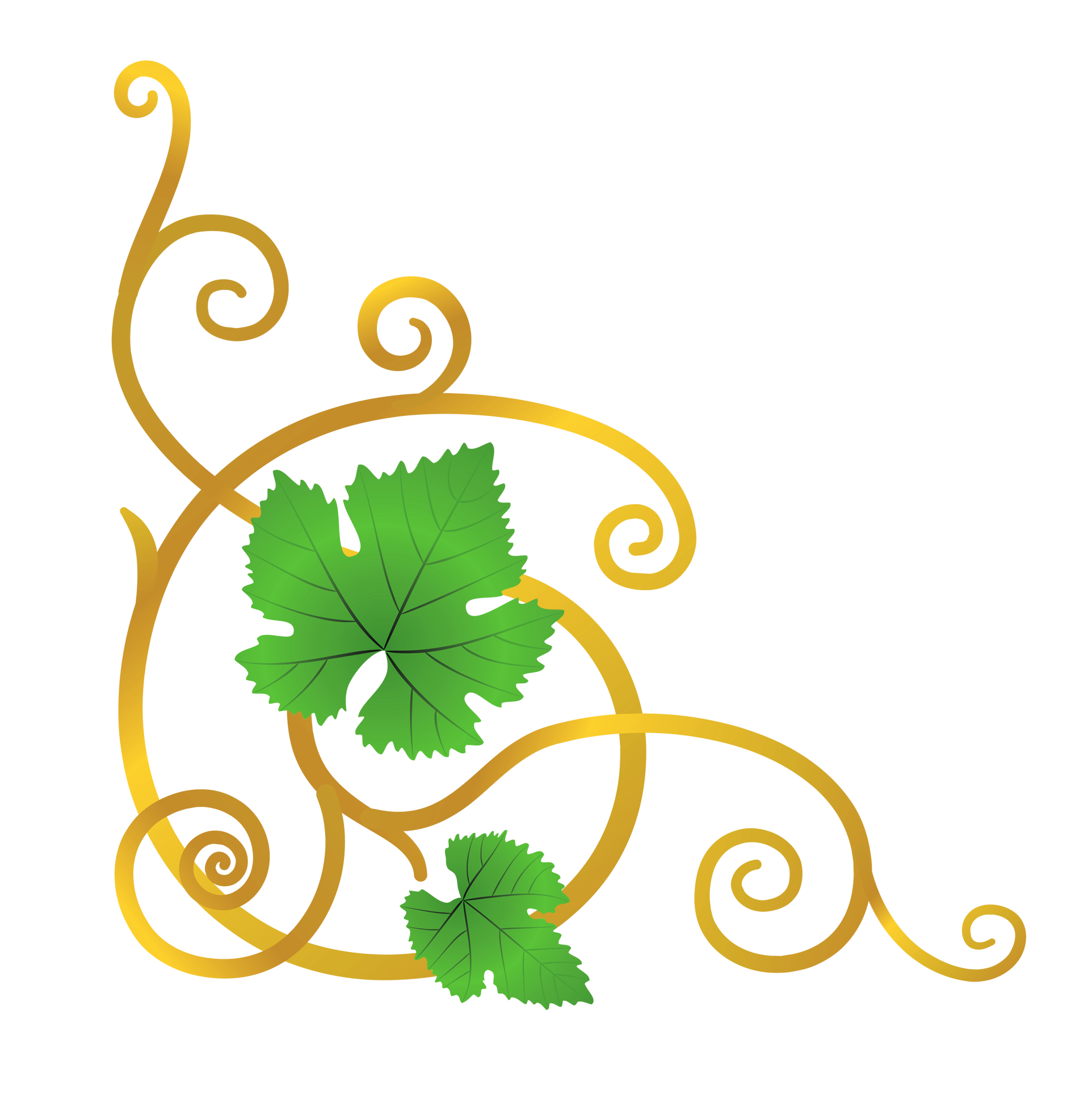 Free Vine Cliparts Transparent Download Free Vine Cliparts Transparent Png Images Free