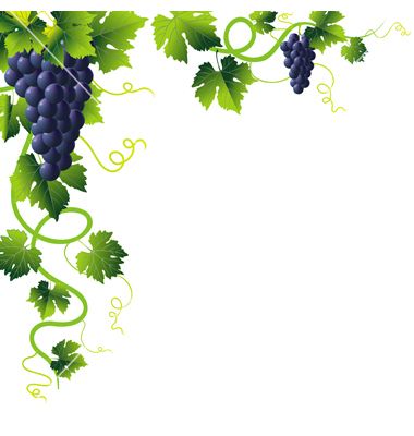 Grapes vine branches clipart transparent background 
