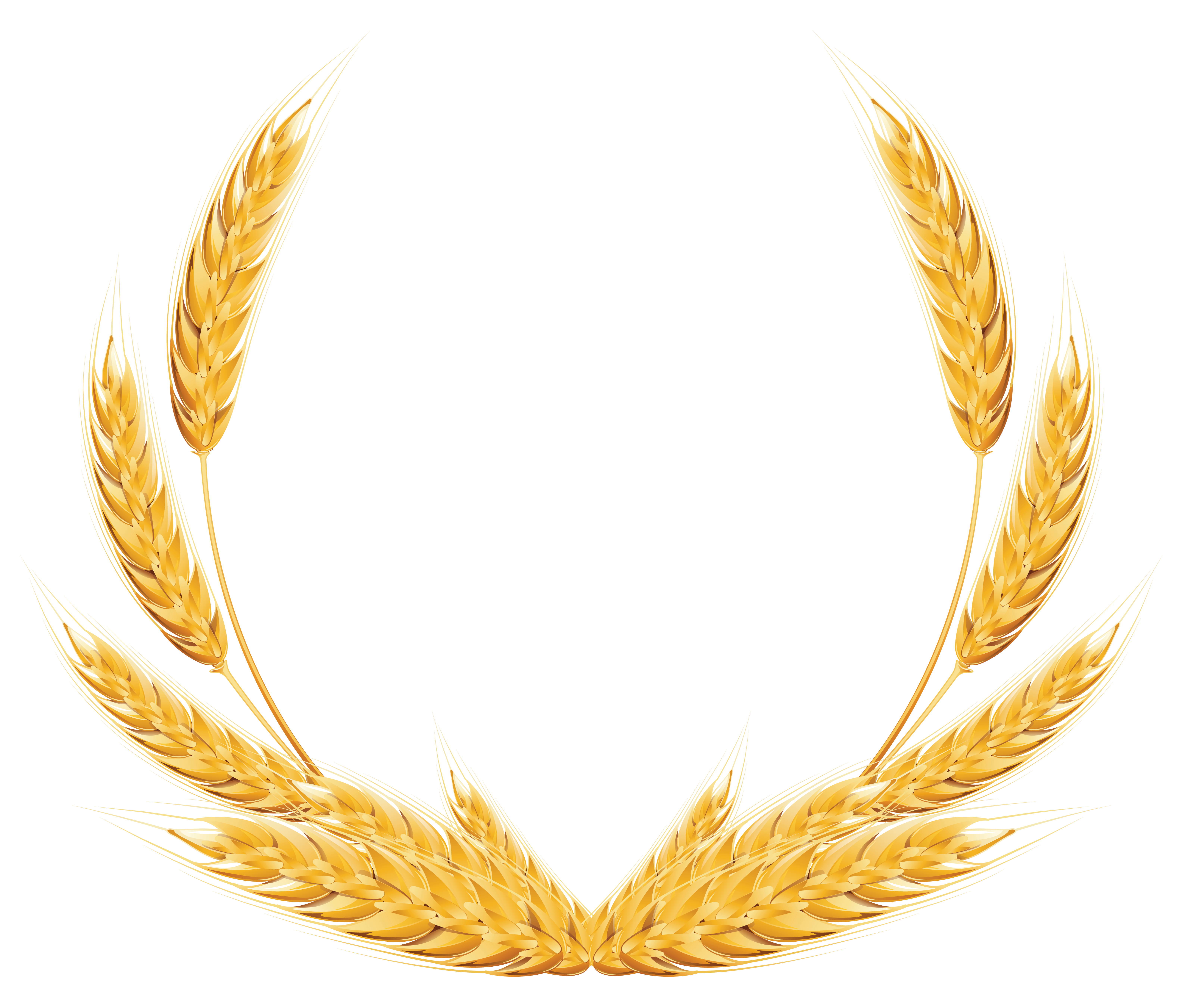 Wheat Decoration PNG Clipart Image 
