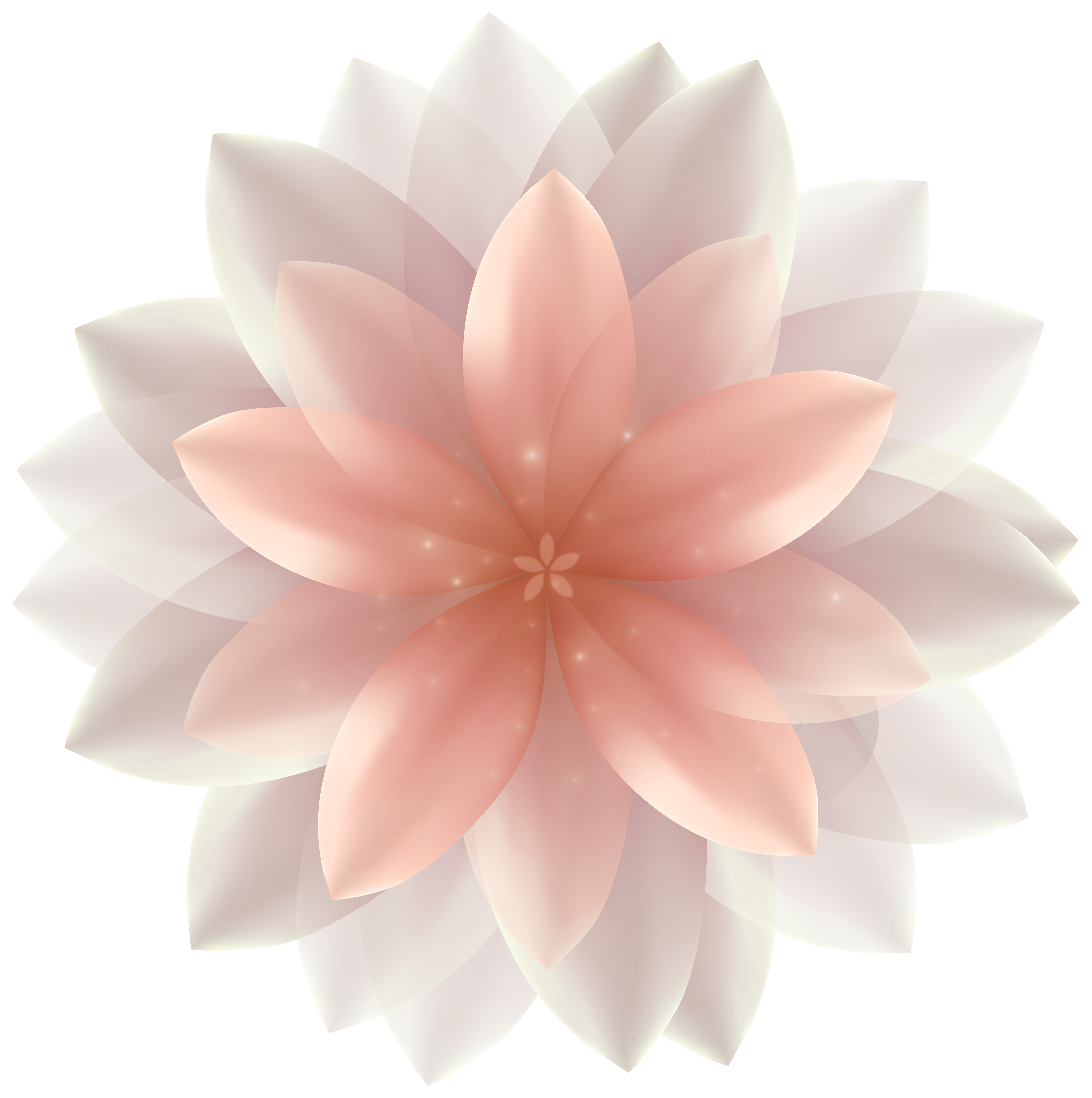 Beautiful Transparent Flower PNG Clipart Image 
