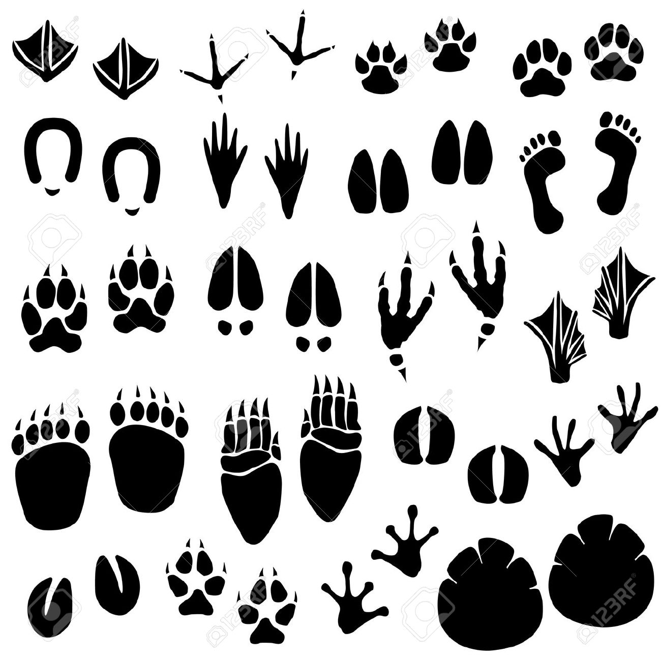 Free Animal Footprints Cliparts Download Free Animal Footprints 